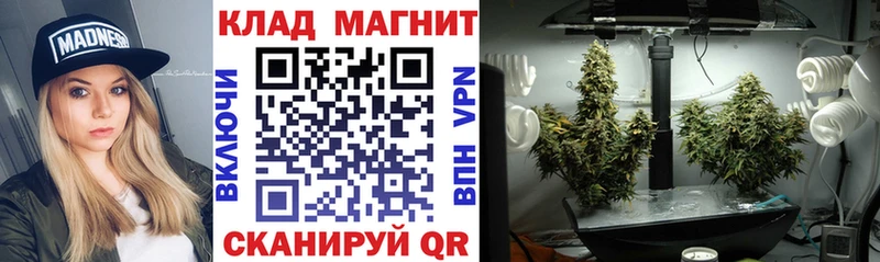 Виды наркотиков купить Нахабино МАРИХУАНА Псилоцибиновые грибы COCAIN Гашиш Меф APVP