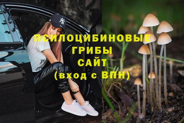 гашиш Абаза