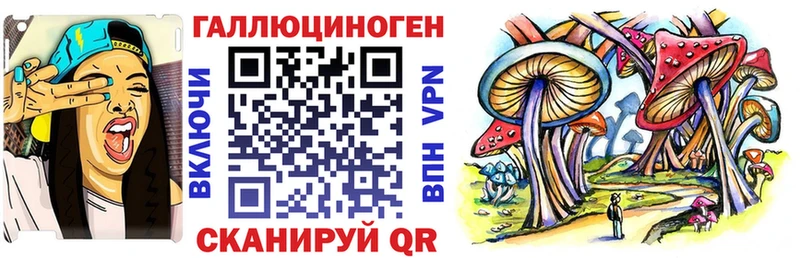 Псилоцибиновые грибы Psilocybe hydra вход Нахабино